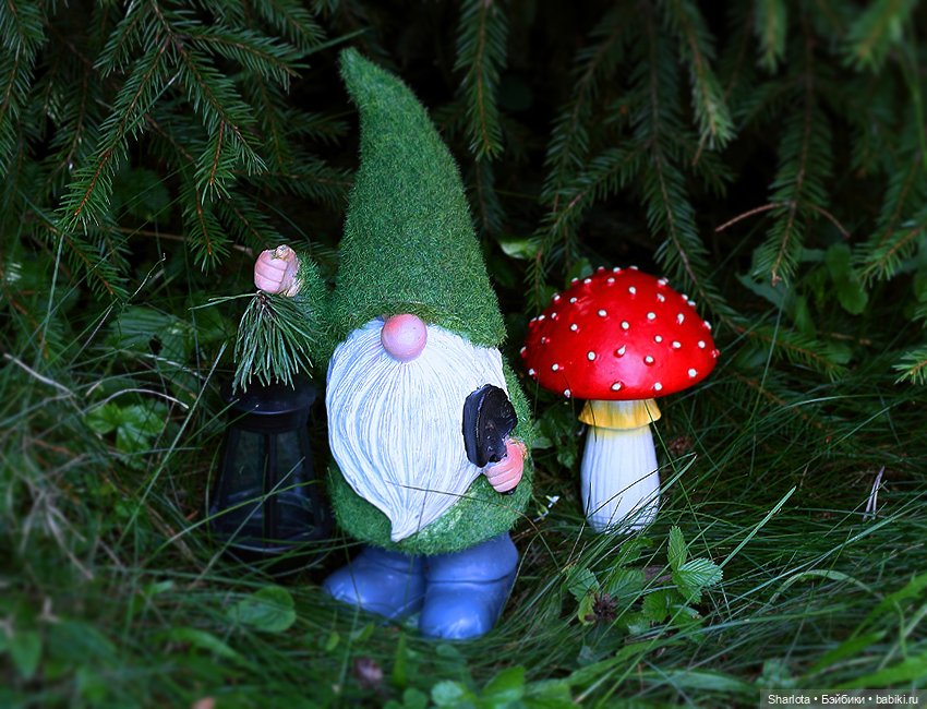 Лариска, Гном и немного лета