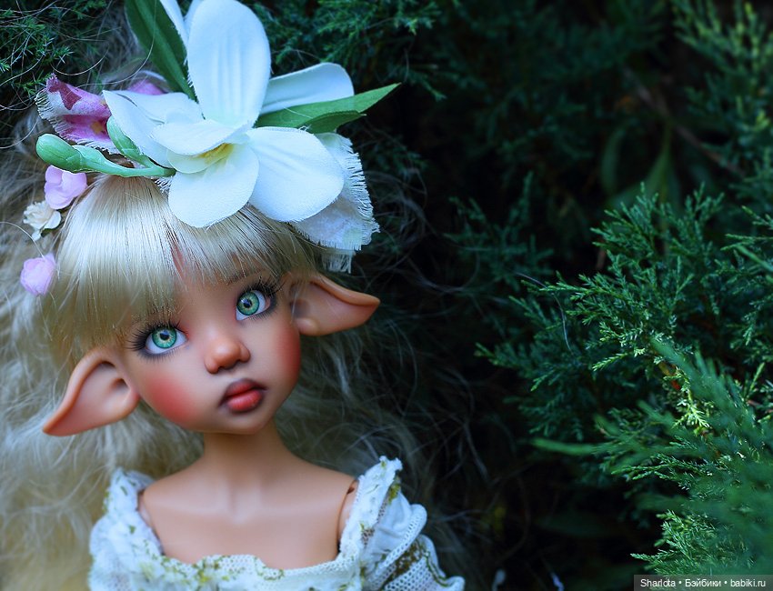 Лариска, Гном и немного лета