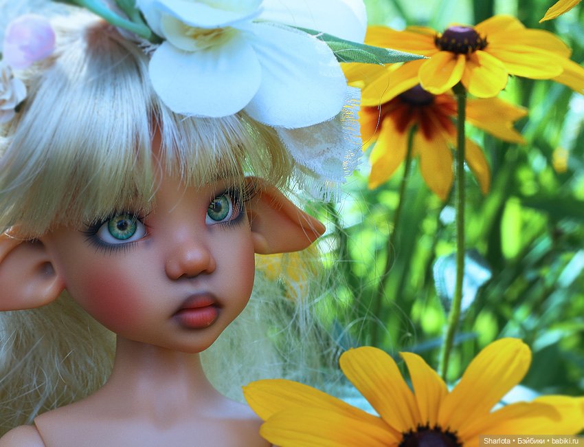 Лариска, Гном и немного лета