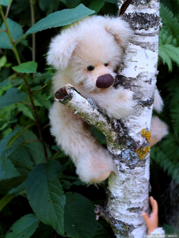 Не теряйте друзей — Куклы Kaye Wiggs (Кайе Виггс): авторские BJD (БЖД)