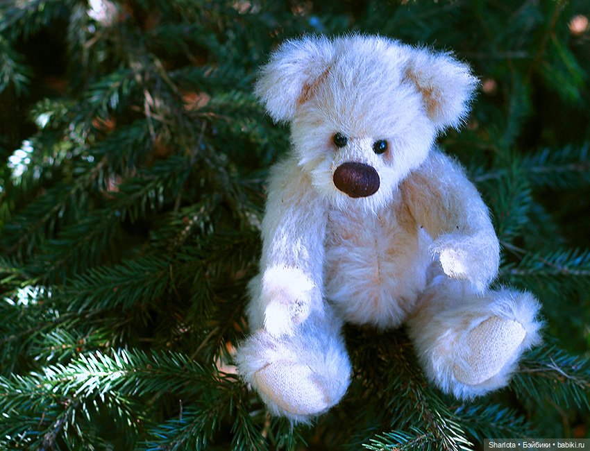 Не теряйте друзей — Куклы Kaye Wiggs (Кайе Виггс): авторские BJD (БЖД) (фото 4)