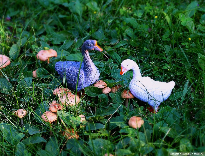 Царица полей, садов и огородов