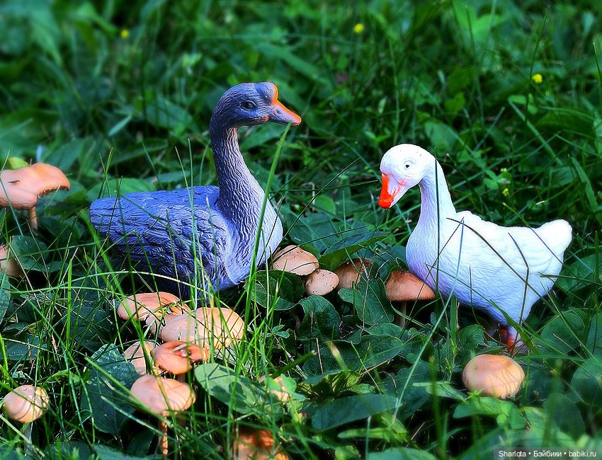 Царица полей, садов и огородов