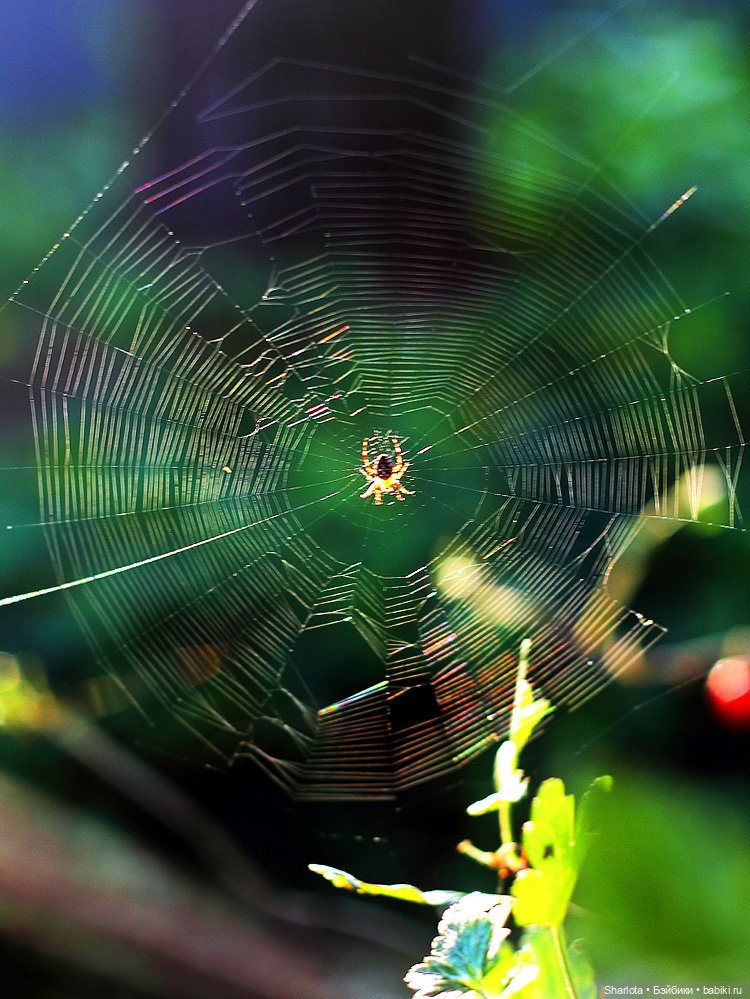 Вот и всё… — Куклы TriffonyArtWork (Татьяна Трифонова): российские BJD (БЖД)