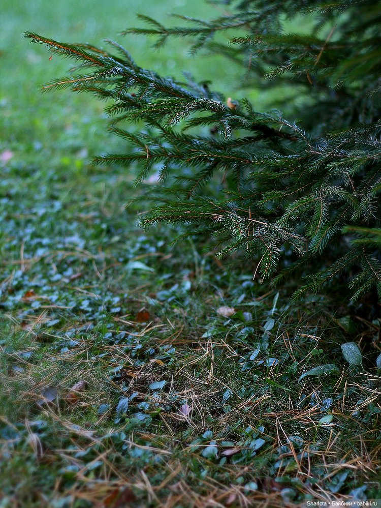 Вот и всё… — Куклы TriffonyArtWork (Татьяна Трифонова): российские BJD (БЖД)