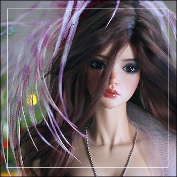 Три моих любимых Чуда…в перьях