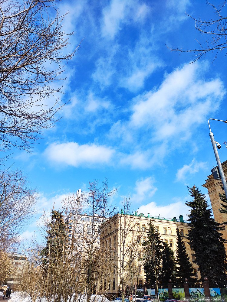 Весенний бал кукол 2026 моими глазами (фото 2)