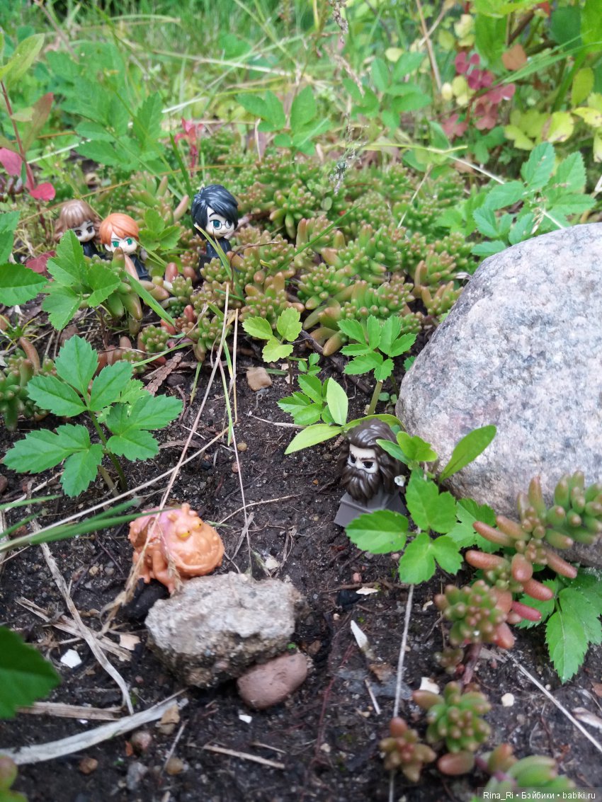 Гарри Поттер и Ко на природе (фото 5)