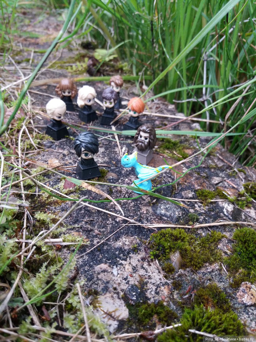 Гарри Поттер и Ко на природе