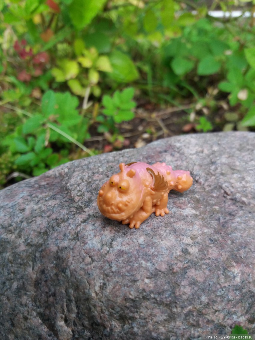 Гарри Поттер и Ко на природе (фото 6)