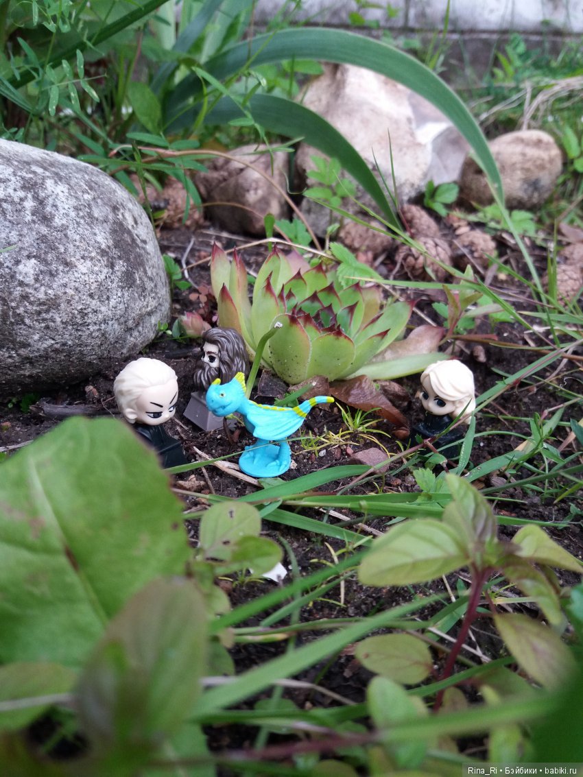 Гарри Поттер и Ко на природе (фото 3)