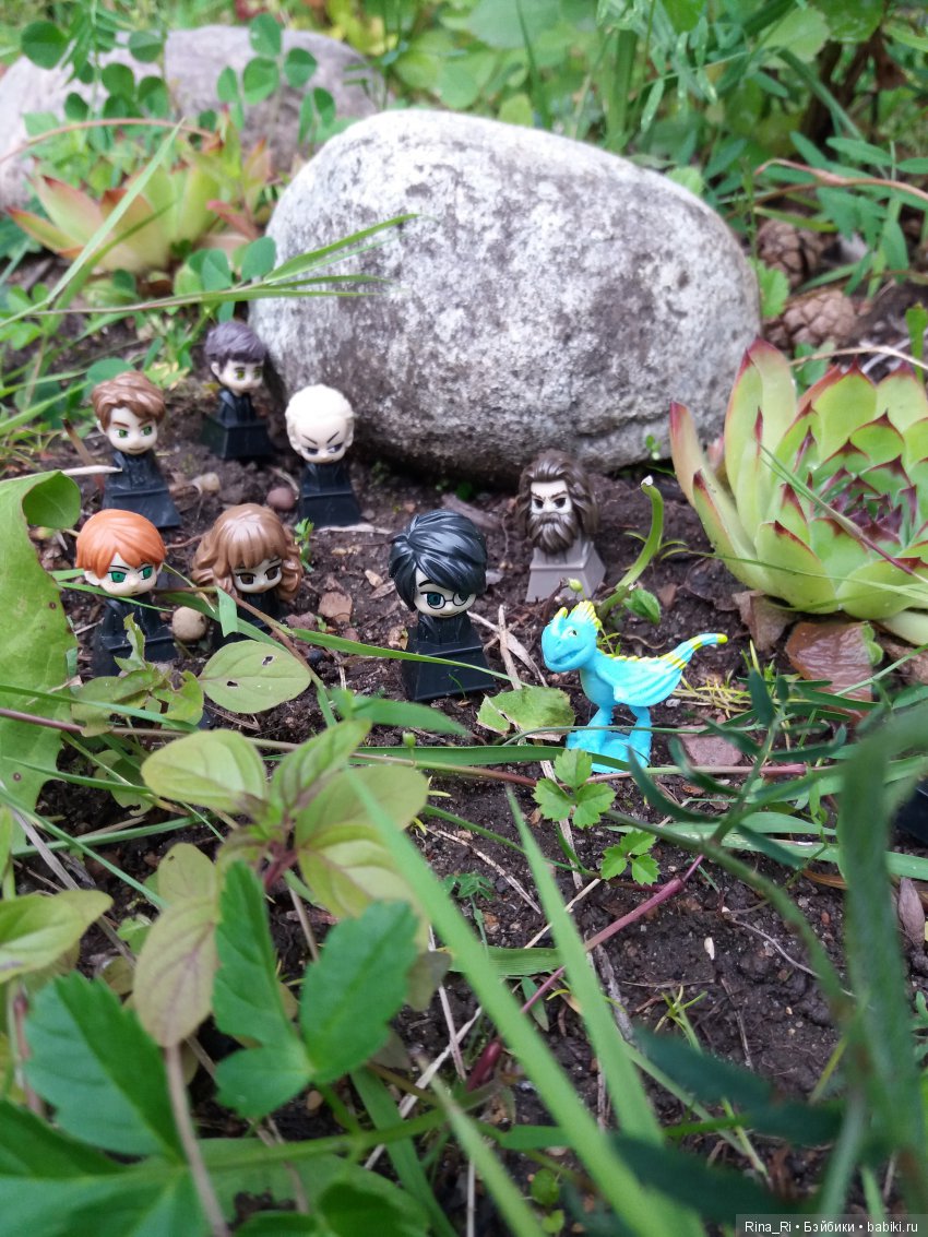 Гарри Поттер и Ко на природе (фото 2)