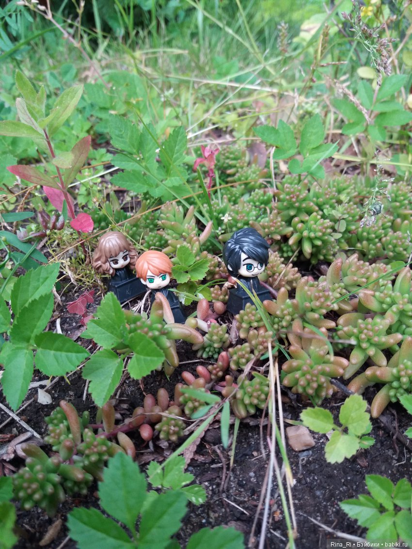 Гарри Поттер и Ко на природе (фото 4)