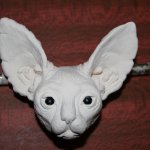 Нужен совет! Авторские куклы  Юлии Нечаевой