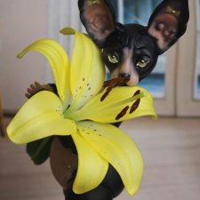 Сфинкс авторская кукла Юлии Нечаевой