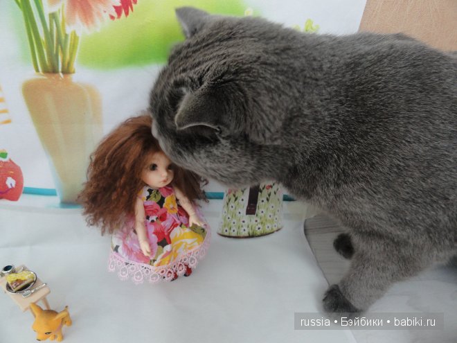 Пукифи Карина и её охрана (фото 6)