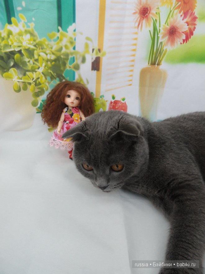 Пукифи Карина и её охрана (фото 9)