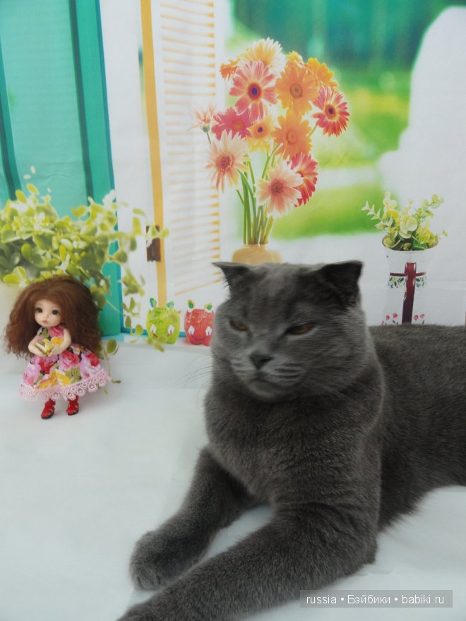 Пукифи Карина и её охрана