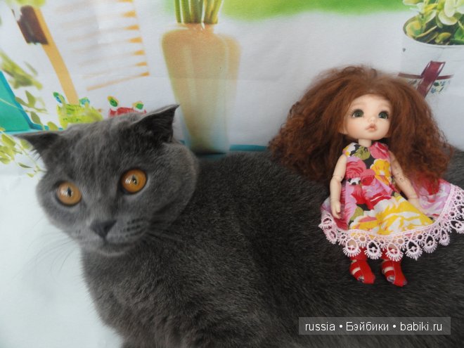 Пукифи Карина и её охрана (фото 10)