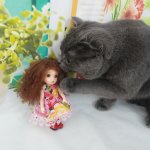 Пукифи Карина и её охрана!