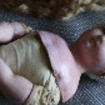 СПА для Елизаветы