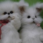 Открытки с выставки. Мишкаград 2016