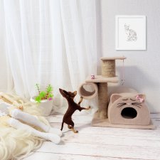 В ожидании котейки