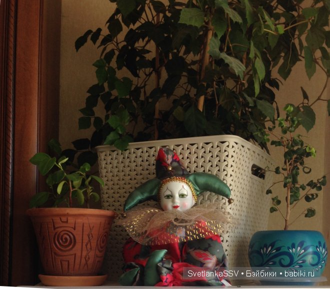 Еще несколько моих немочек | Бэйбики Еще несколько моих немочек