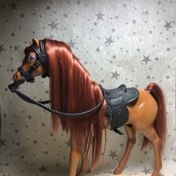 Преображение лошадки