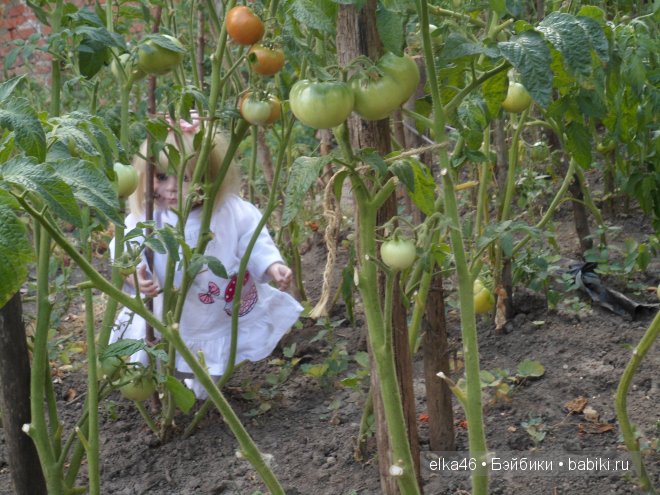 Марта (кукла Adora) на природе | Бэйбики Марта (кукла Adora) на природе