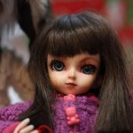 Моя малышка Клевер.