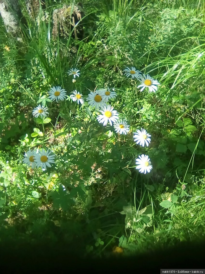 Брат - это здорово — Куклы Baboliy (Баболи (фото 5)