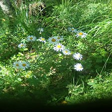 Брат - это здорово