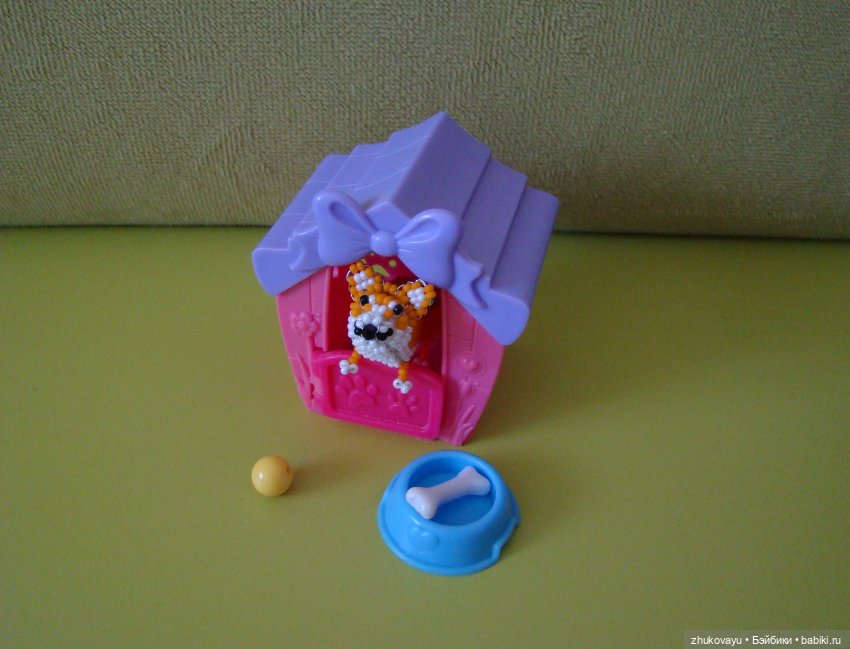 Корги Коржик — Другие хобби и увлечения: сад (фото 5)