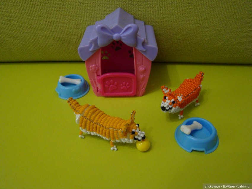 Корги Коржик — Другие хобби и увлечения: сад (фото 9)