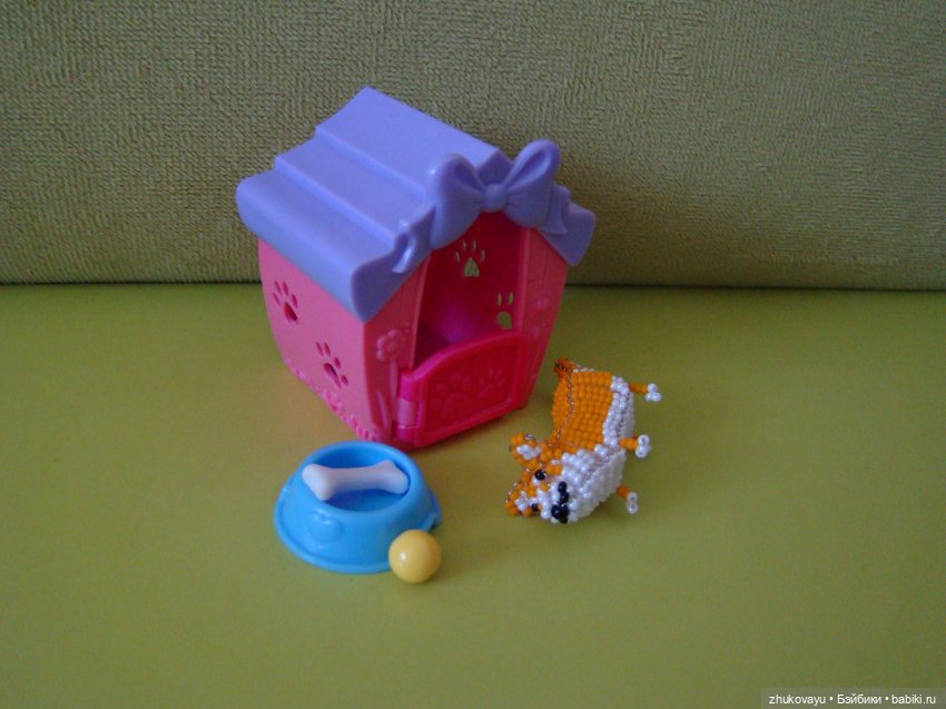 Корги Коржик — Другие хобби и увлечения: сад (фото 3)