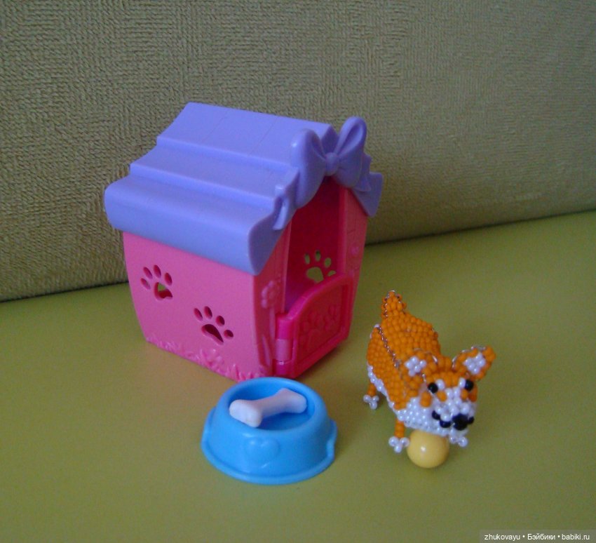 Корги Коржик — Другие хобби и увлечения: сад (фото 2)