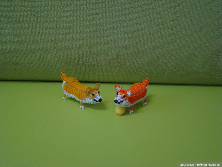 Корги Коржик — Другие хобби и увлечения: сад (фото 6)