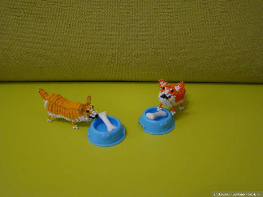 Корги Коржик — Другие хобби и увлечения: сад (фото 7)