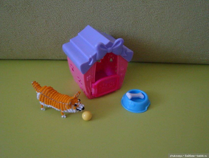 Корги Коржик — Другие хобби и увлечения: сад