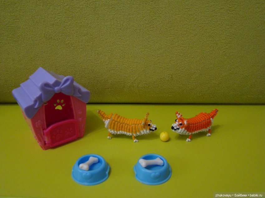 Корги Коржик — Другие хобби и увлечения: сад (фото 8)