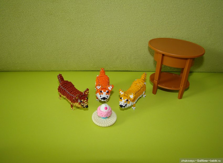 Корги Коржик — Другие хобби и увлечения: сад (фото 10)