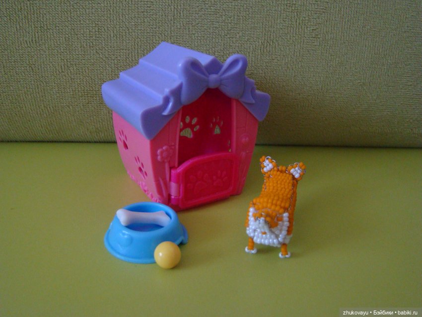 Корги Коржик — Другие хобби и увлечения: сад (фото 4)