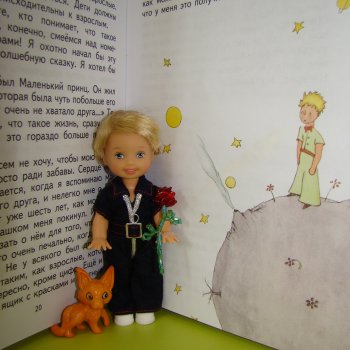 Мой Маленький Принц