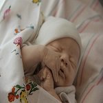 Молд куклы реборн Americus