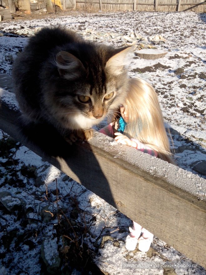 Вышли на прогулку, на снег посмотреть (фото 5)