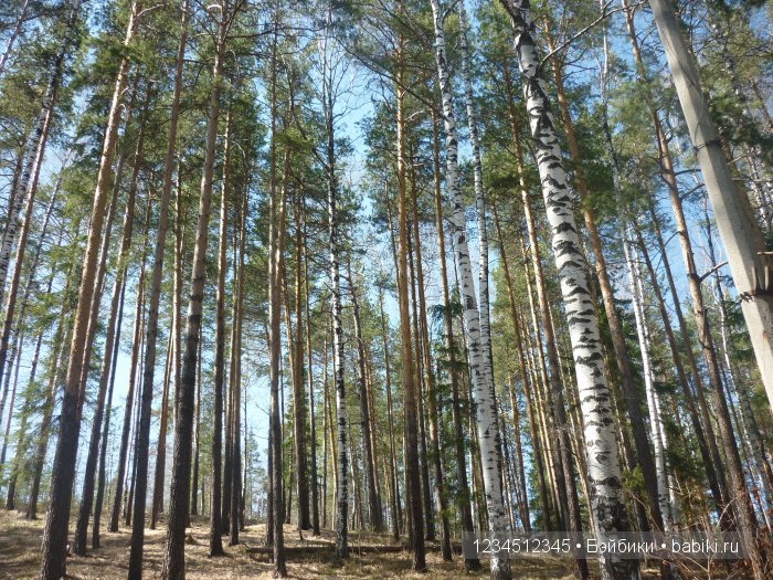 Весна на Уральских горах — Куклы Gotz (Готц): Ханна