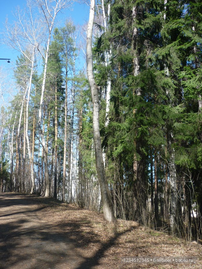 Весна на Уральских горах — Куклы Gotz (Готц): Ханна