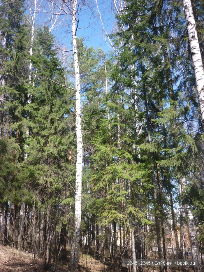 Весна на Уральских горах — Куклы Gotz (Готц): Ханна