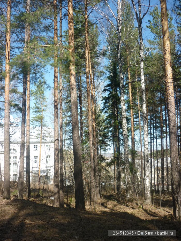 Весна на Уральских горах — Куклы Gotz (Готц): Ханна